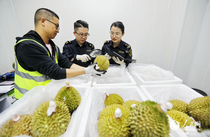 P(gun)ˆT؛MвW(wng) ƽz