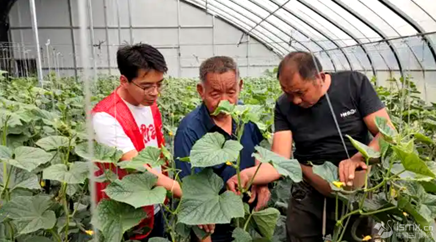 hF(xin)r(nng)I(y)Ƽʾ@߲˻ƼɆTcؓ(f)؟(z)˜ͨhƼֹD