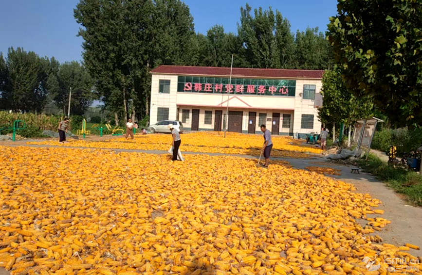 l(xing)зhl(xing)nfȺĻVZ_Ɣz