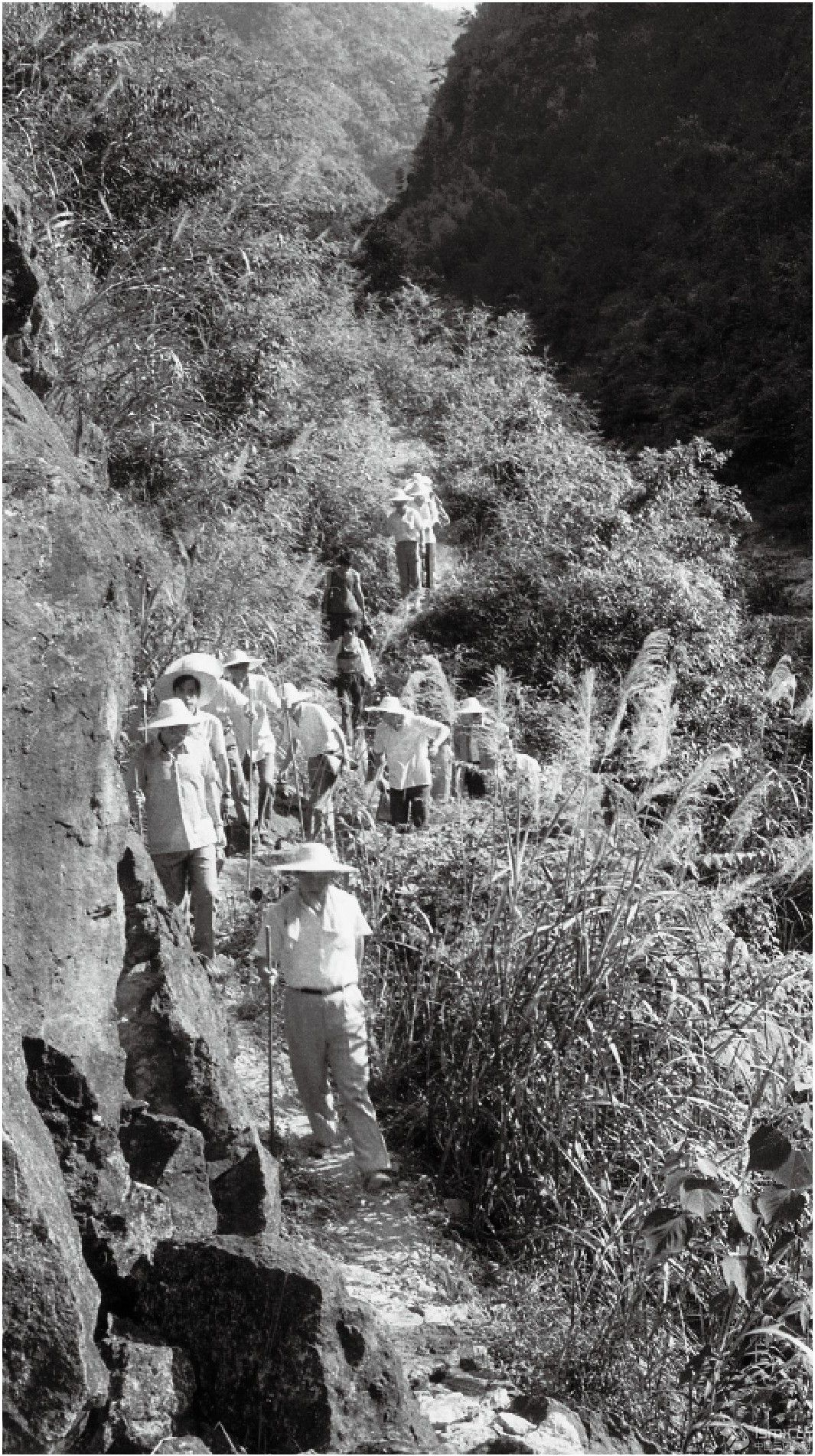 19897(x)ƽһеیhhl(xing){(dio)